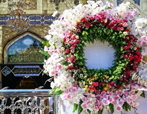تصاویر / گل آرایی مضجع نورانی حضرت علی (ع)