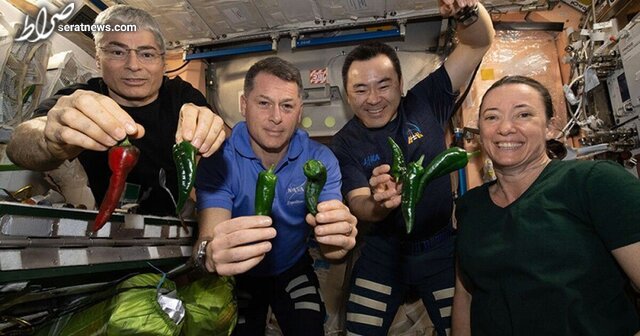 جایزه ۱ میلیون دلاری ناسا برای حل مشکل غذای فضانوردان