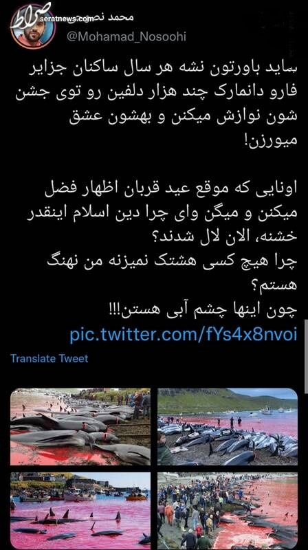 اونایی که موقع عید قربان اظهار فضل میکنن چرا الان لال شدند؟