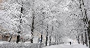 برف و باران ۲۲ استان را فرامی‌گیرد/ از کوهنوردی و سفر خودداری کنید