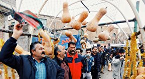 تصاویر / جشنواره کدو در تفریجان