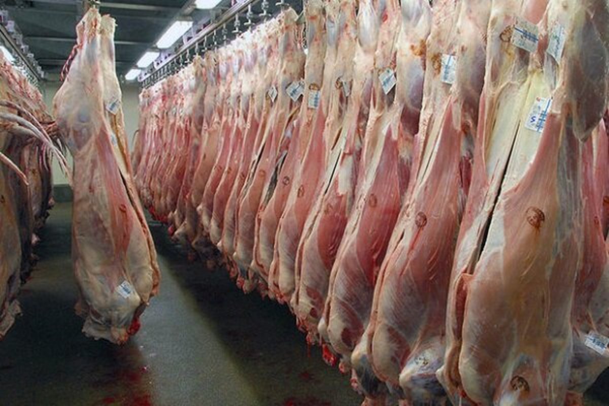 مراقب مسمومیت با گوشتهای چرخی آلوده باشید
