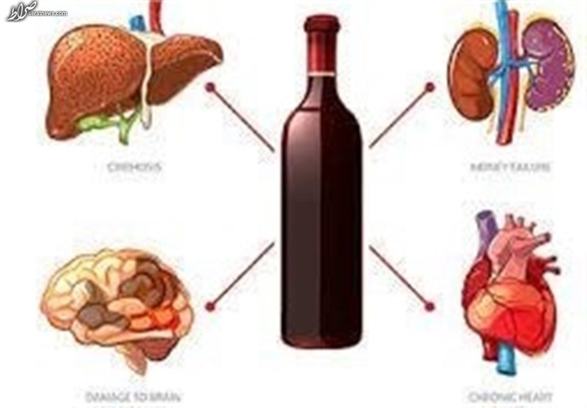 مصرف اندک الکل هم خطرساز است؛ از تغییر حجم مغز تا پیری زودرس