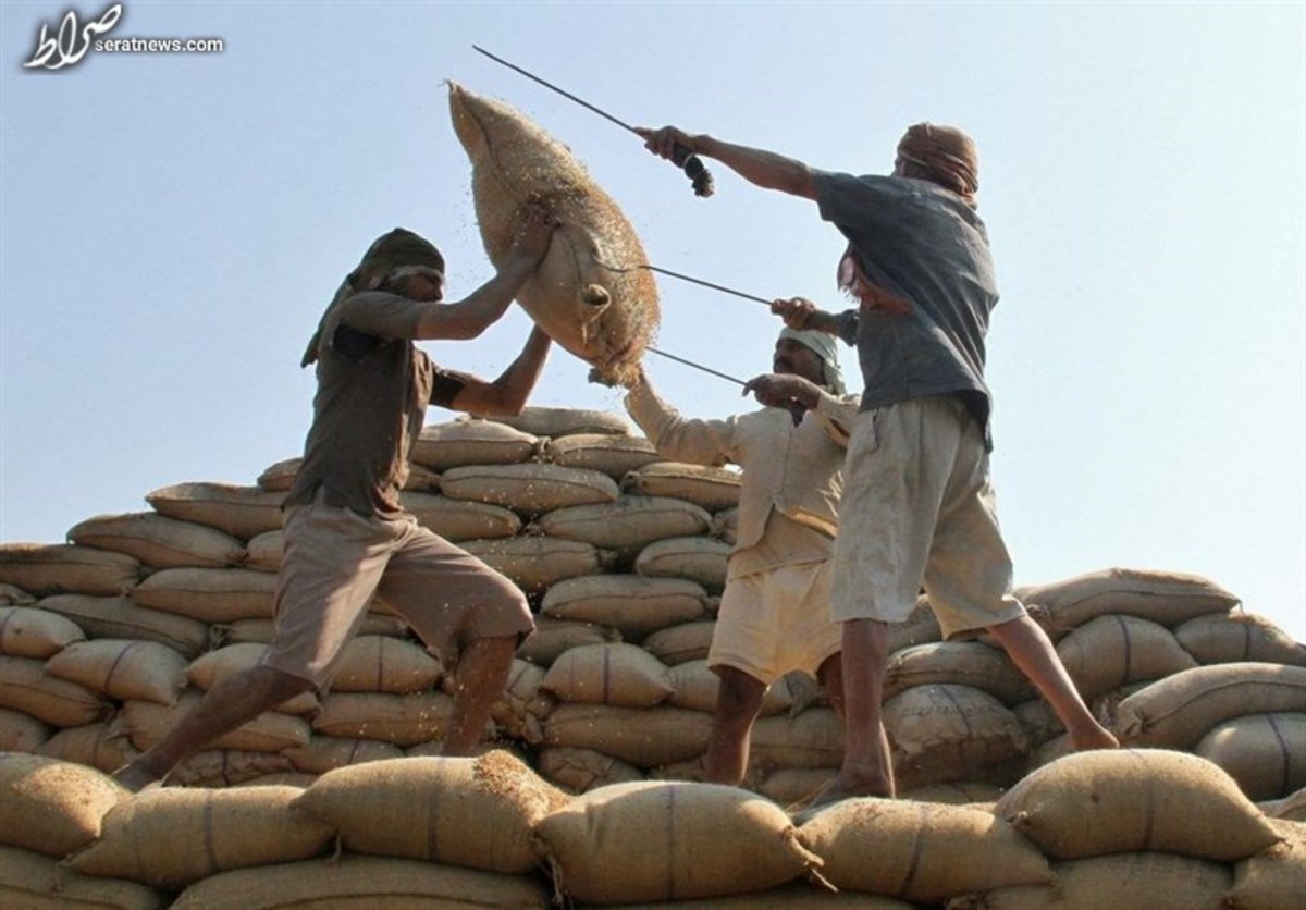 واردات ۱ میلیون تن برنج / ۳۴۰ هزار تن برنج ذخیره شد