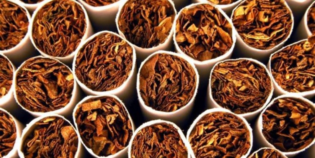 افزایش قیمت توتون و تنباکو از سال آینده