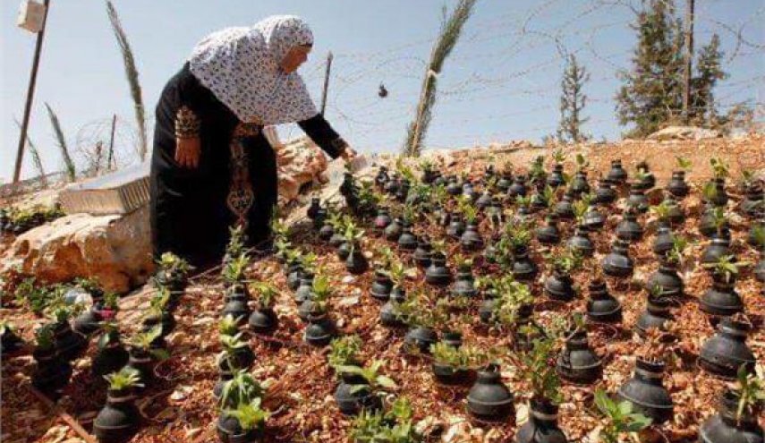 اقدام زیبای بانوی فلسطینی با بمب‌های رژیم صهیونیستی + عکس
