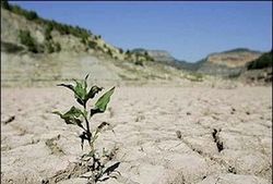 توصیه‌های هلال احمر برای مقابله با خشکسالی