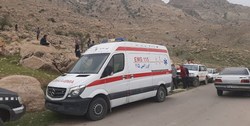 مردی بر اثر حمله خرس در کوه‌های اقلید مجروح شد