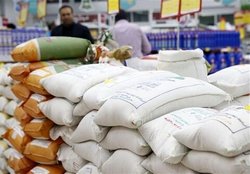 توریع ۲۰۰ هزار تن انواع برنج وارداتی و شکر از ابتدای خرداد