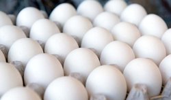 ماجرای فروش تخم مرغ پایین‌تر از قیمت مصوب