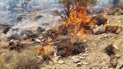 ۶۰هکتار از منابع طبیعی شهربابک در آتش سوخت