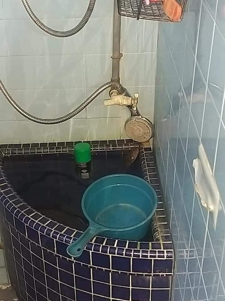 عکس/ صحنه وحشتناکی که صاحبخانه را در حمام شوکه کرد!