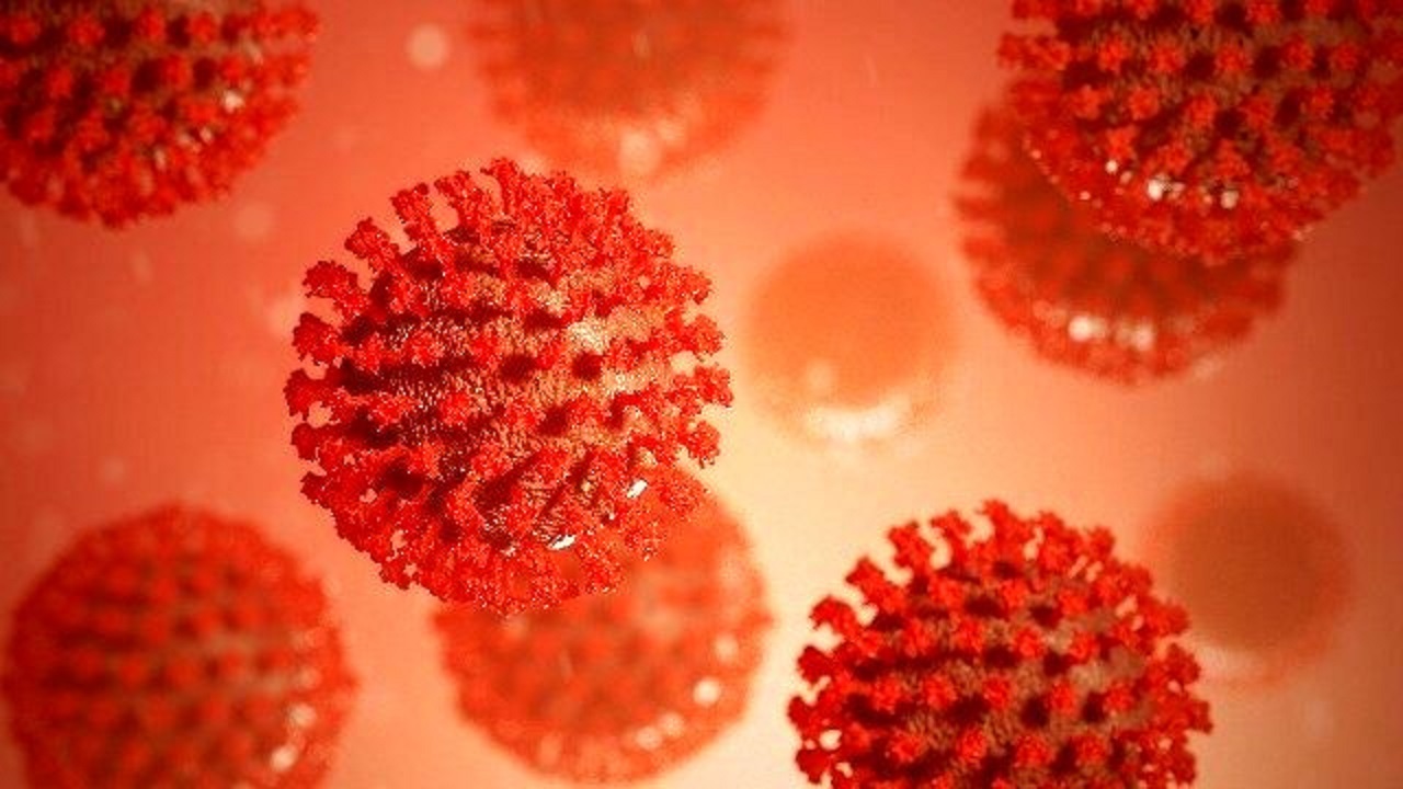 کشف نوعی ویروس کرونا با منشا ناشناخته در برزیل
