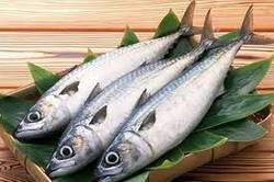 قیمت اقلام اساسی در ۱۰ تیر/ نرخ هر کیلو ماهی قزل آلا ۴۹ هزار تومان