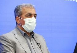 سالانه ۵۰۰۰۰ عقرب‌گزدیدگی در کشور گزارش می‌شود