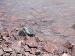 وسعت دریاچه ارومیه ۴۶۰ کیلومترمربع کاهش یافت