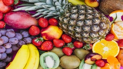 هندوانه ارزان شد/ گرانی میوه ارتباطی به گران فروشی ندارد