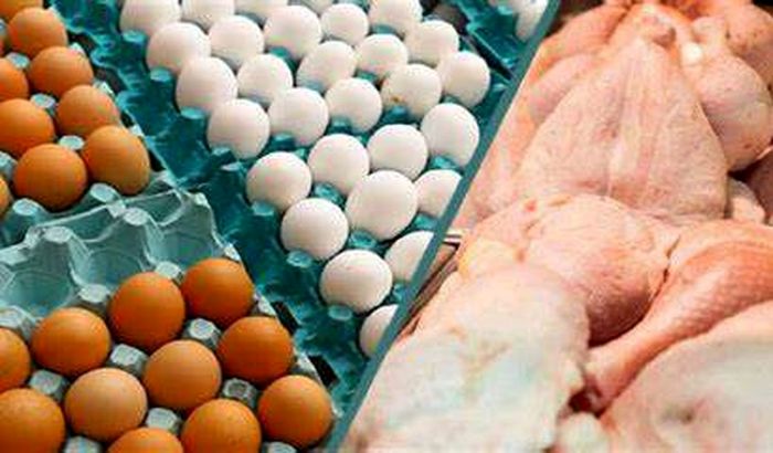 قیمت روز مرغ ،تخم مرغ وگوشت قرمز در میادین / ۲۳ تیر