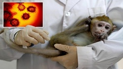 آبله میمون اولین قربانی خود را در چین به ثبت رساند