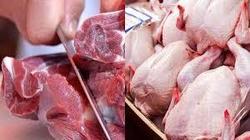 مرغ کیلویی ۱۰۰ و گوشت ۲۵۰ هزار تومان می‌شود