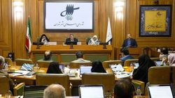 جدال لفظی نایب رئیس شورای شهر و عضو شورا/ میرلوحی خداحافظی کرد
