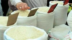 قیمت برنج نوبرانه در مازندران چند؟