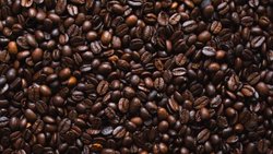 افسانه‌های قهوه؛ از کاهش وزن تا افزایش عمر