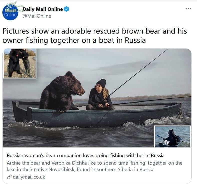 عکس ماهیگیری با خرس 