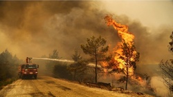 جنگل‌های جنوب ترکیه نیز طعمه آتش شد