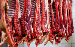 آخرین قیمت ها در بازار گوشت قرمز/شقه گوسفندی ١١۴ هزار تومان شد