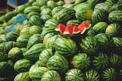 دعوا بر سر هندوانه و گوجه ایرانی در منطقه!