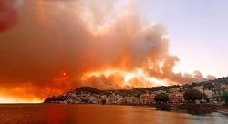 جنگل‌های ترکیه باز هم آتش گرفت