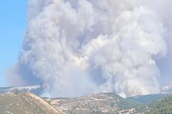 وقوع آتش سوزی بزرگ در جنگل‌های شمال لبنان