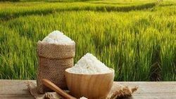 جدول/ قیمت انواع برنج در بازار
