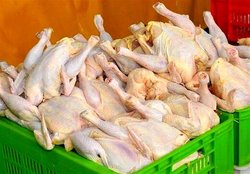 قیمت اقلام اساسی در ۲۱ شهریور/ نرخ مرغ و مشتقات آن