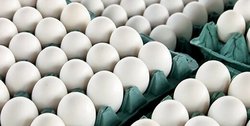 قیمت تخم مرغ از ۳۰۰۰۰ تومان به ۵۵۰۰۰ تومان رسید، وزارت صمت برای بستن دهان مردم آن را به ۴۵ هزار تومان کاهش داد!