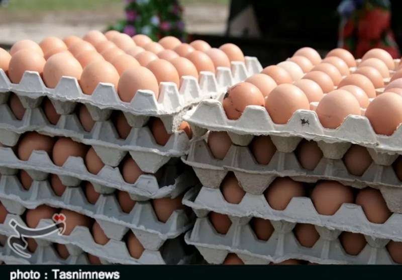 سنگینی گرانی روی شانه‌های تخم مرغ / قیمت‌های نجومی در سبد غذایی مردم