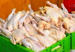 قیمت اقلام اساسی در ۴ شهریور/ نرخ هر کیلو گردن مرغ چند؟