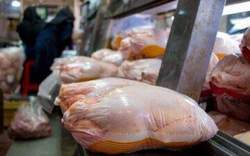 جدول/ قیمت مرغ، گوشت سفید و تخم مرغ در بازار
