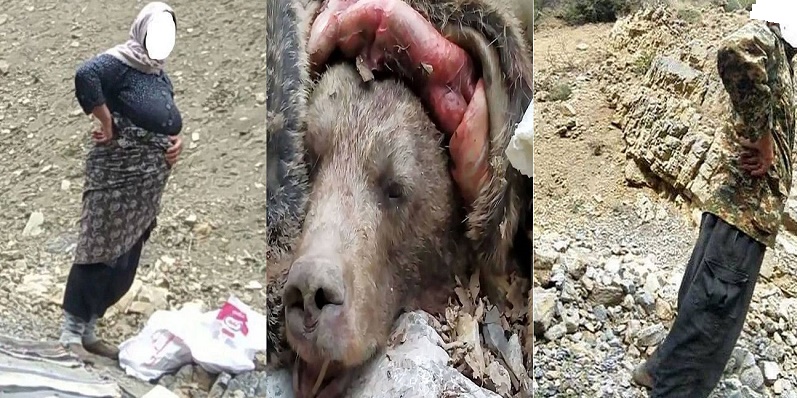 جزئیات جدید از پرونده سلاخی خرس توسط زوج مازندرانی