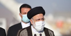 رئیس جمهور: دست دلالان نهادههای دامی قطع میشود