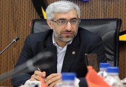 عشقی: مداخله دولتها منجر به انحراف در بازار میشود