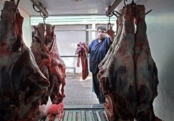 کاهش محسوس قیمت گوشت قرمز به زیر ۹۰ هزار تومان در برخی مناطق
