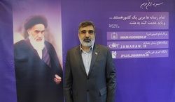 واکنش تازه آژانس به گام دوم برجامی ایران +واکنش‌های بین‌المللی