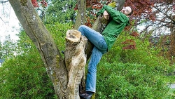 عکس/ تصادف باورنکردنی پراید!