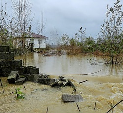 تصاویر/ سیل در بخش کجور نوشهر