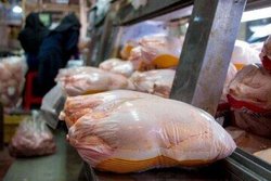 بازار مرغ منجمد و تخم‌مرغ اشباع می‌شود