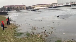 فیلم/ لحظه نجات زن سقوط کرده در کانال آب