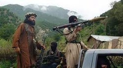 کشته شدن ۵ عضو گروه طالبان در جلال آباد