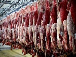 افزایش ۴۰ درصدی عرضه گوشت قرمز